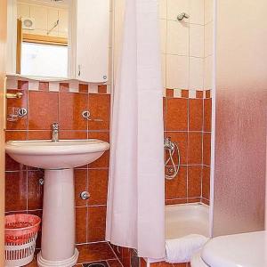 La salle de bains est pourvue d'un lavabo, de toilettes et d'une douche. dans l'établissement Apartman Zenta, à Petrovac na Moru