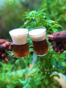 two people holding up two glasses of beer at NAFI'0 in Gorée