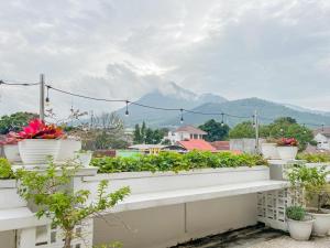 a balcony with potted plants and mountains in the background at Sakura Guest House by The Lavana in Batu