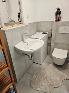 BarsbekにあるFerienwohnung zwischen Laboe und Schönbergの洗面台とトイレ付きのバスルーム