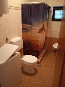 a bathroom with a toilet and a shower at Apartments MARE in Ždrelac