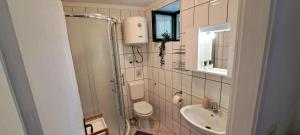a bathroom with a toilet and a sink at Stone House with garden Laganini in Zlarin +41 photos