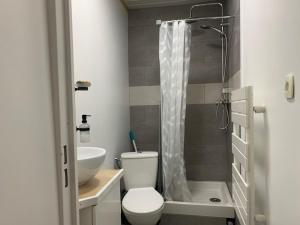 La salle de bains est pourvue de toilettes, d'un lavabo et d'une douche. dans l'établissement Le Val Fleuri, à La Bourboule