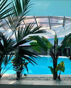 two palm trees in front of a swimming pool at Hotel Dana Business & Conference in Szczecin