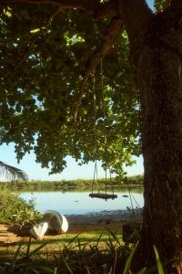 a swing hanging from a tree next to a lake at Harmonie in Rivière Noire