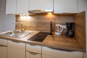 eine Küche mit einer Spüle und einer Arbeitsplatte in der Unterkunft Modern Innsbruck Apartment I Free Parking in Innsbruck