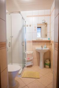 a bathroom with a shower and a sink and a toilet at Noclegi U Fela in Ustrzyki Dolne
