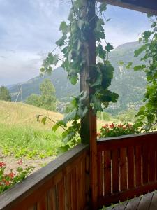 a fence with a view of a mountain at BerglandHof Hotel Ernen in Ernen