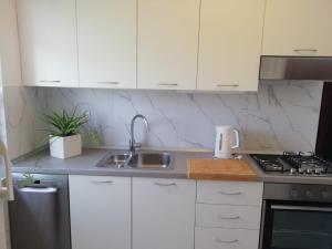 Kuchyň nebo kuchyňský kout v ubytování Apartment DUBA