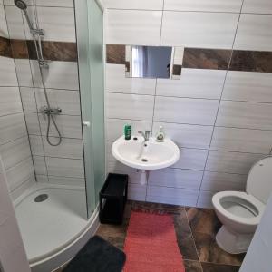 y baño con lavabo, ducha y aseo. en Apartment Porta en Terezín