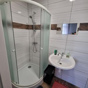 Koupelna v ubytování Apartment Porta
