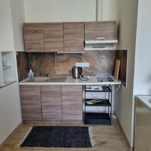 una cocina con armarios de madera y fregadero en Apartment Porta en Terezín