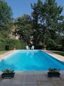 una piscina con 2 plantas y 2 sillas en LA SEIGNEURIE DE TILLAC, en Tillac