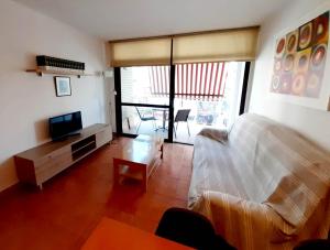 a living room with a couch and a television at HomeHolidaysRentals Bijou - Costa Barcelona in Pineda de Mar