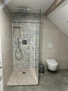 La salle de bains est pourvue d'une douche et de toilettes. dans l'établissement Gîte « Les Basse des Grouets », à Blois