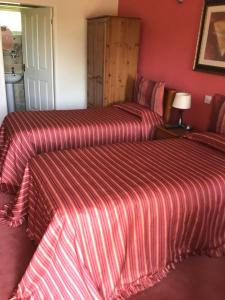 a bedroom with two beds and a red wall at The Ship inn in Castle Eden