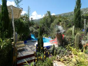 a garden with a swimming pool and a bunch of plants at Villa Tropica, total privacy, tropical garden and private pool in Kaštela