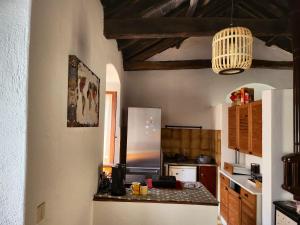 uma cozinha com um frigorífico e uma bancada em Maison de 2 chambres avec terrasse amenagee et wifi a Rogliano em Rogliano