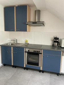 a kitchen with blue cabinets and a stainless steel oven at Joanna Apartment - MA City 2 in Mannheim