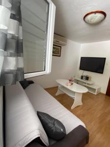 TV a/nebo společenská místnost v ubytování Apartment Lijana sea view