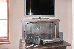 a tv sitting on top of a table with a fireplace at Haus Zeitlos Ferienwohnung Zeitreise in Lübbenau