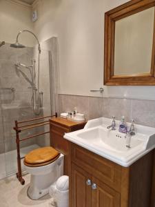 ein Bad mit einem Waschbecken, einem WC und einer Dusche in der Unterkunft Golborne Manor Bed and Breakfast in Chester