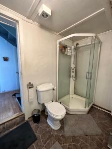 łazienka z toaletą i prysznicem w obiekcie Oslo House, Nedre Kjellerstuvei, First floor, Twin Room w mieście Lillestrøm