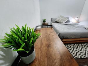 sala de estar con sofá y mesa con planta en Upspot Kuching Waterfront Premium Hostel en Kuching