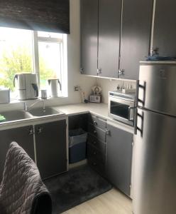 Η κουζίνα ή μικρή κουζίνα στο West-Reykjavik Apartment