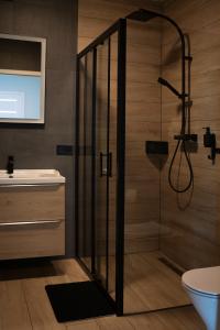 y baño con ducha y puerta de cristal. en Turkusowe tarasy apartament, en Czeladź