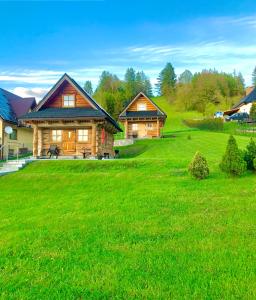 a log house on a green grassy field at Domek na Górkach in Krościenko