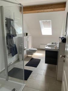 uma casa de banho com um chuveiro, um WC e um lavatório. em Landhaus "Alte Welt" Nordseeküste em Osteel