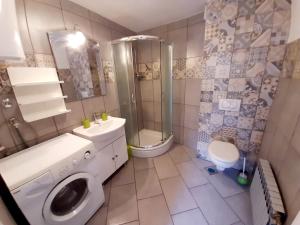 ein Bad mit einer Waschmaschine und einer Dusche in der Unterkunft Vacation House Calluna in Vrisnik
