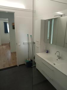 ein Bad mit einem Waschbecken, einem Spiegel und einer Dusche in der Unterkunft Domstad Resort Utrecht Vakantiewoningen in Utrecht