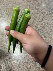 een persoon die twee groene groenten in zijn hand heeft bij Garden Hostel in Minxiong