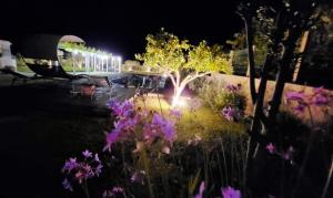Blick auf einen Garten mit lila Blumen in der Unterkunft Villa Edo in Marsala