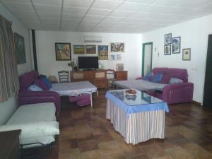 uma sala de estar com sofás roxos e uma mesa em Almajar 4 em El Puerto de Santa María