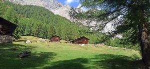 ein grünes Feld mit Holzhütten in einem Berg in der Unterkunft Anemone Home in Santa Caterina Valfurva