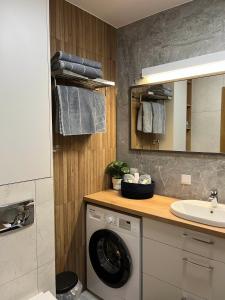 een wasmachine in een badkamer met een wastafel bij Apartament 45 in Wrocław