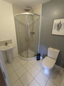 La salle de bains est pourvue d'une douche, de toilettes et d'un lavabo. dans l'établissement Self contained town house in Mexborough, à Mexborough