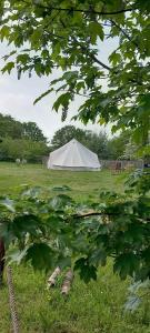 una tienda blanca en medio de un campo en Brackenside Glamping, en Woodhall Spa