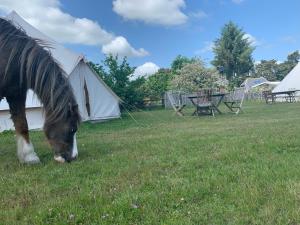 un caballo pastando en la hierba junto a una tienda en Brackenside Glamping, en Woodhall Spa