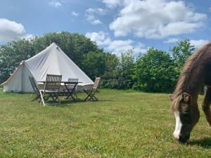 un caballo pastando en un campo junto a una tienda en Brackenside Glamping, en Woodhall Spa