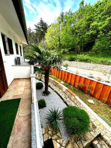 Zahrada ubytování Apartments Plavčić