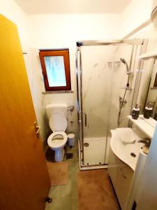 e bagno con doccia, servizi igienici e lavandino. di Apartments Plavčić a Plomin (Fianona)