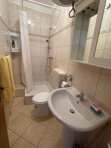 uma casa de banho com um lavatório, um WC e um chuveiro em Apartmani Ksenija em Murter