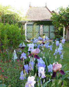 un jardin avec des fleurs bleues et blanches devant une maison dans l'établissement Chambres d'Hôtes Les Pergolas, à Marcigny