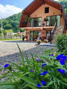 een huis met blauwe bloemen ervoor bij Casa de vacanta Estera Rucar in Rucăr