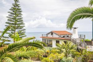 Příroda nedaleko prázdninového domu