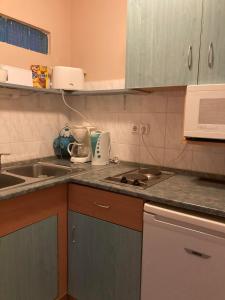 una cucina con un lavello e un piano di lavoro di Muskátli Apartman a Balatonakali